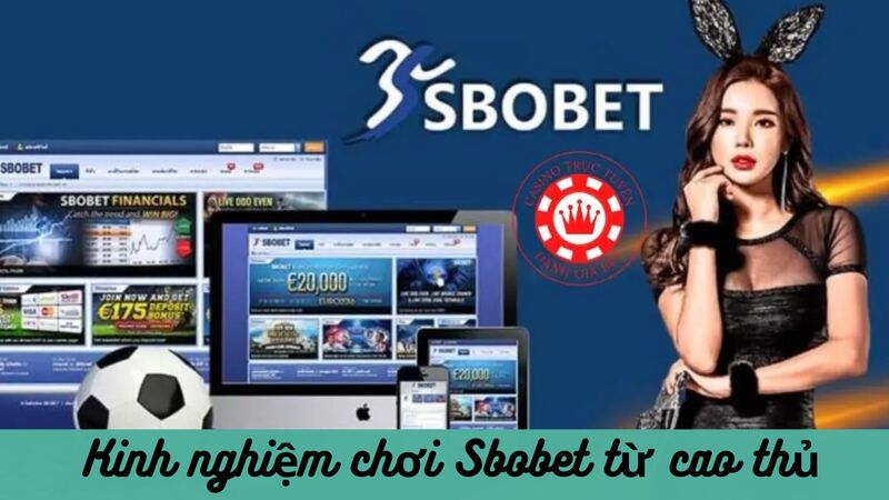 Bật mí kinh nghiệm cách chơi game từ cao thủ