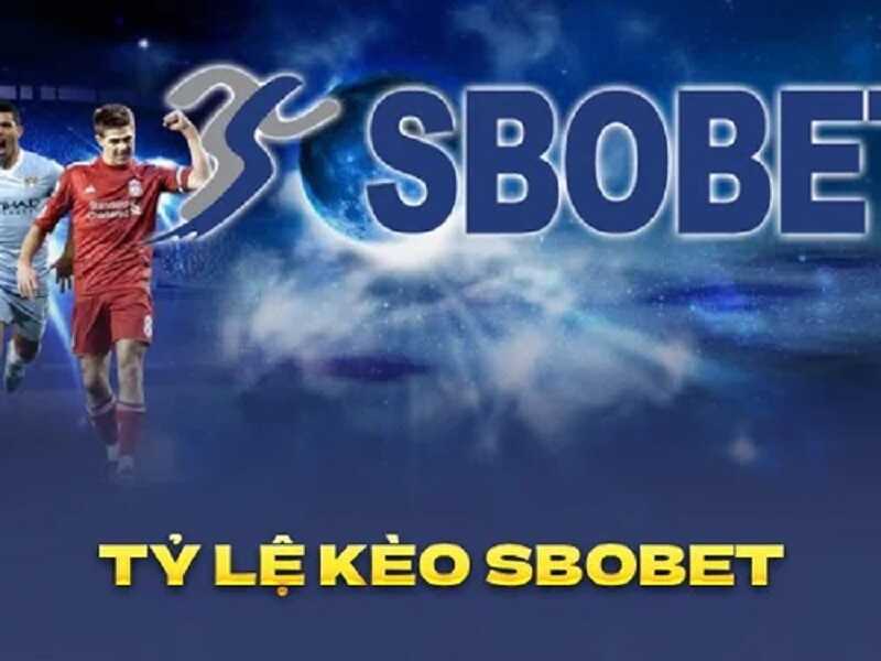 Tỷ lệ kèo Sbobet là yếu tố quan trọng khi cá cược thể thao tại đây