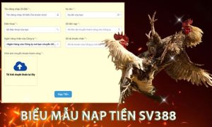 Điền thông tin vào biểu mẫu nạp tiền tại SV388